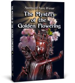 The Mystery of the Golden Flowering